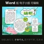 word版动物电子小报昆虫蜻蜓
