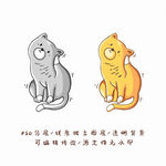 猫咪