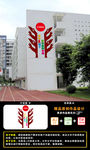 教师文化墙