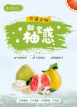柚惑海报