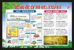 健康教育宣传栏