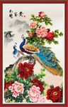 花开富贵