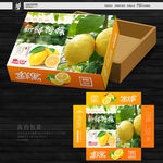 柠檬包装