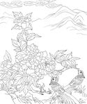 花鸟