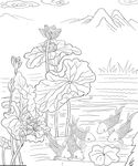 荷花图
