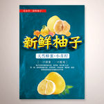 新鲜柚子水果海报设计