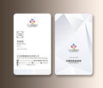 竖版名片 素雅名片