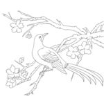 花鸟图