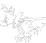 花鸟