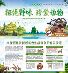 拒绝野味 珍爱动物