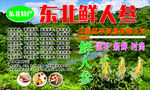 特产人参