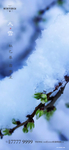大雪