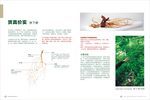 林下参画册折页宣传册