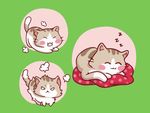 卡通小猫