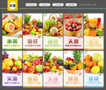 水果 水果海报 水果展板