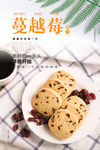 蔓越莓饼干