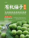 青梅海报
