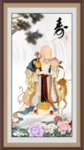 老寿星