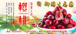 樱桃