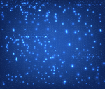 科技星空矢量AI