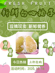 柚子