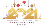 2021 牛年