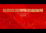 热烈欢迎领导莅临指导