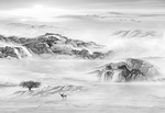 山水大理石