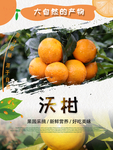 沃柑