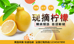柠檬
