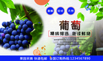 葡萄
