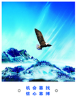 机会靠找 信心靠搏