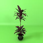 花草模型 植物模型 花卉模型