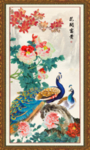 牡丹花