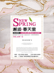春装上新