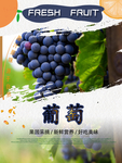 葡萄