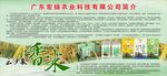 宏扬农业有限公司简介