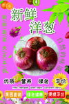 洋葱