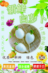 白萝卜