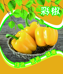 彩椒
