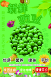 豌豆