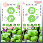 梨子