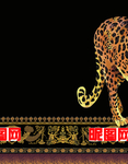 大牌豹子