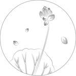 荷花 矢量图
