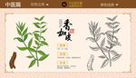 香加皮