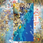 海底世界