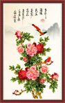 牡丹花