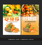 砂糖桔