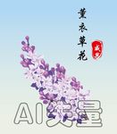 薰衣草