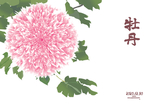 牡丹 花 手绘 美图 粉 壁纸